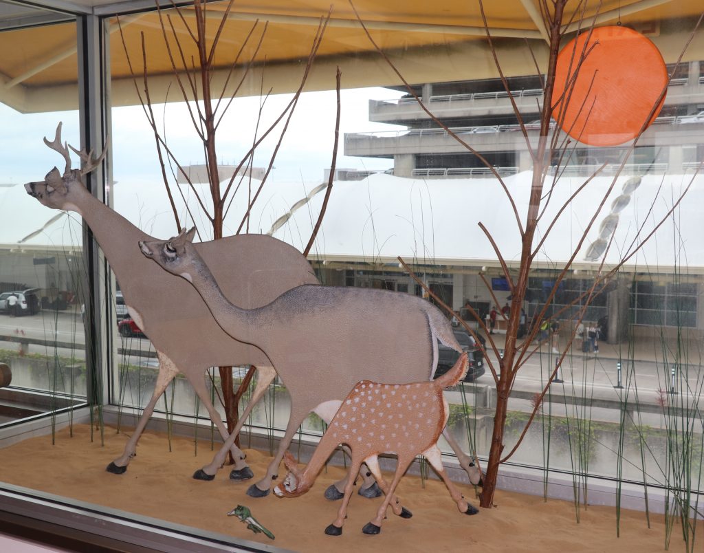 Artist: Todd Warner
Details: 1992, Mixed media sculptural installation
Collection: GOAA Art Collection
Location: Level 4, East & West
