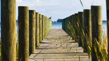 brevard