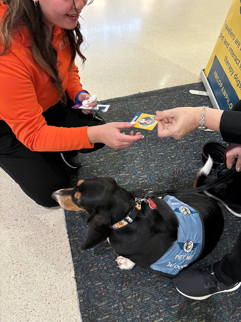 MCO Paw Pilots 2024 dog WOODY sitting on the floor at a MCO terminal. A woman in a red outfit is handing out MCO Paw Pilots trading cards.