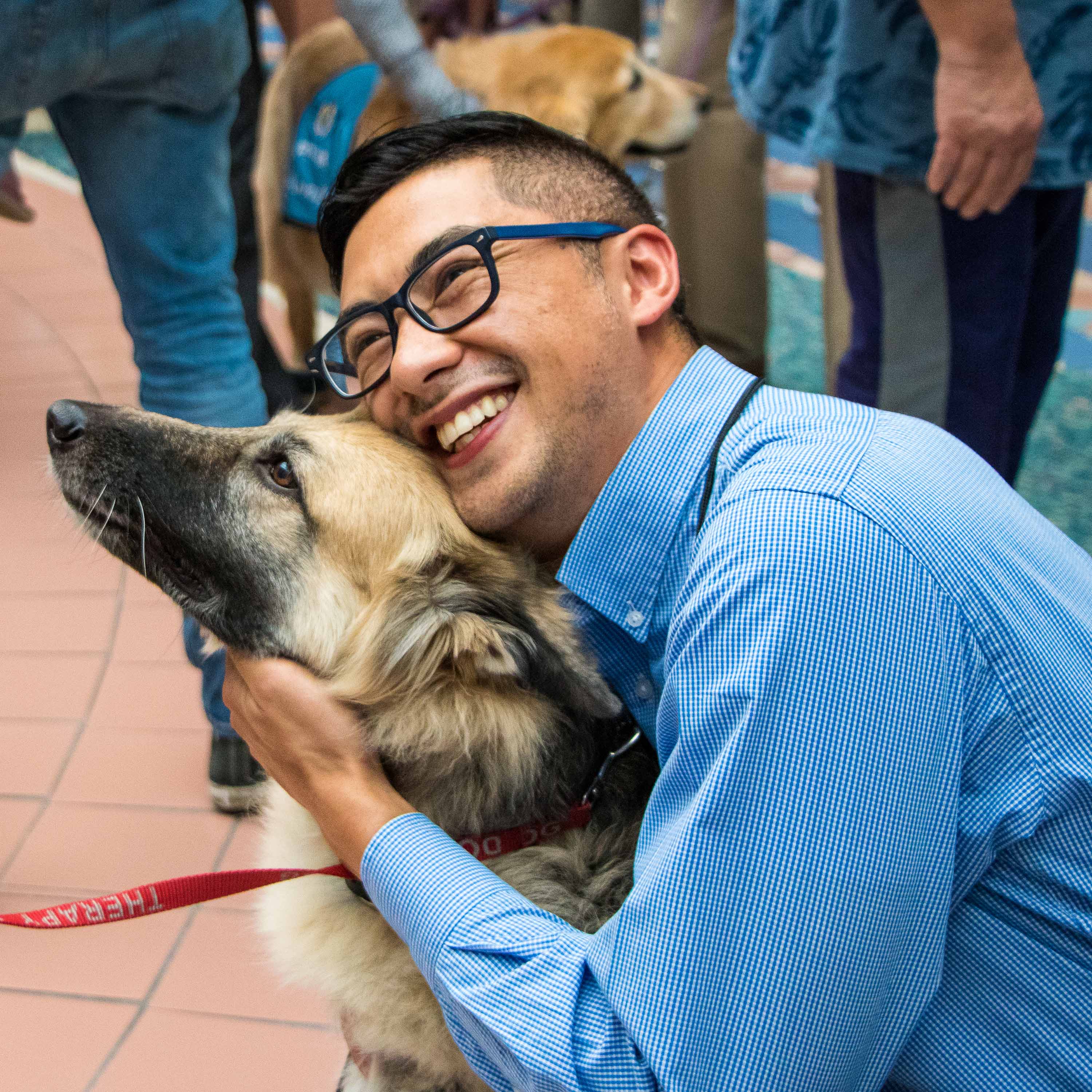 MCO Paw Pilot - German Shepherd being hugged.