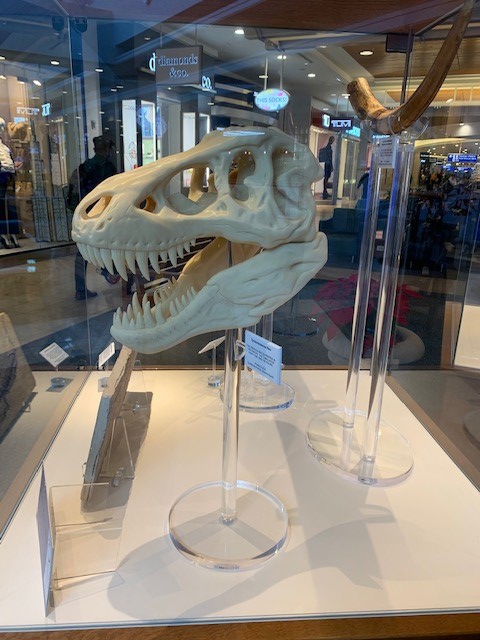 Artist: Rotating displays by local arts and cultural organizations
Location: Terminal A, Level 3, North Walk