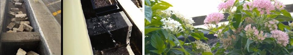 BAT-Photo-2-Before-and-after-GarageB-2026-06-13