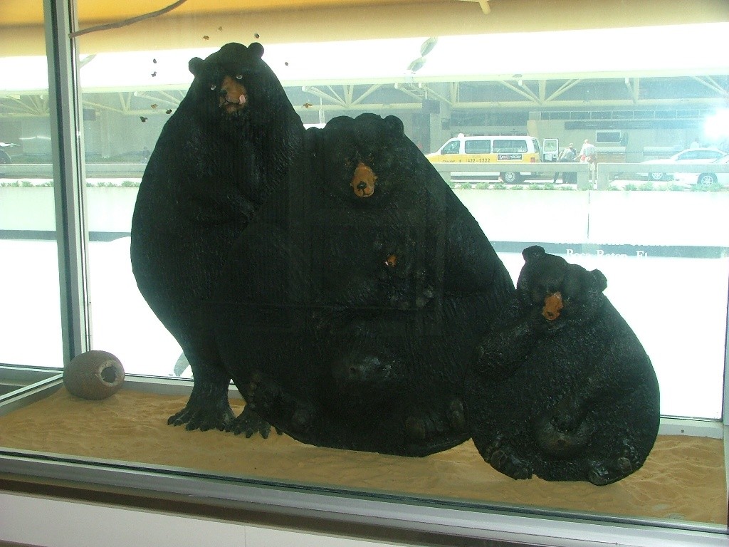 Artist: Todd Warner
Details: 1992, Mixed media sculptural installation
Collection: GOAA Art Collection
Location: Level 2, East & West