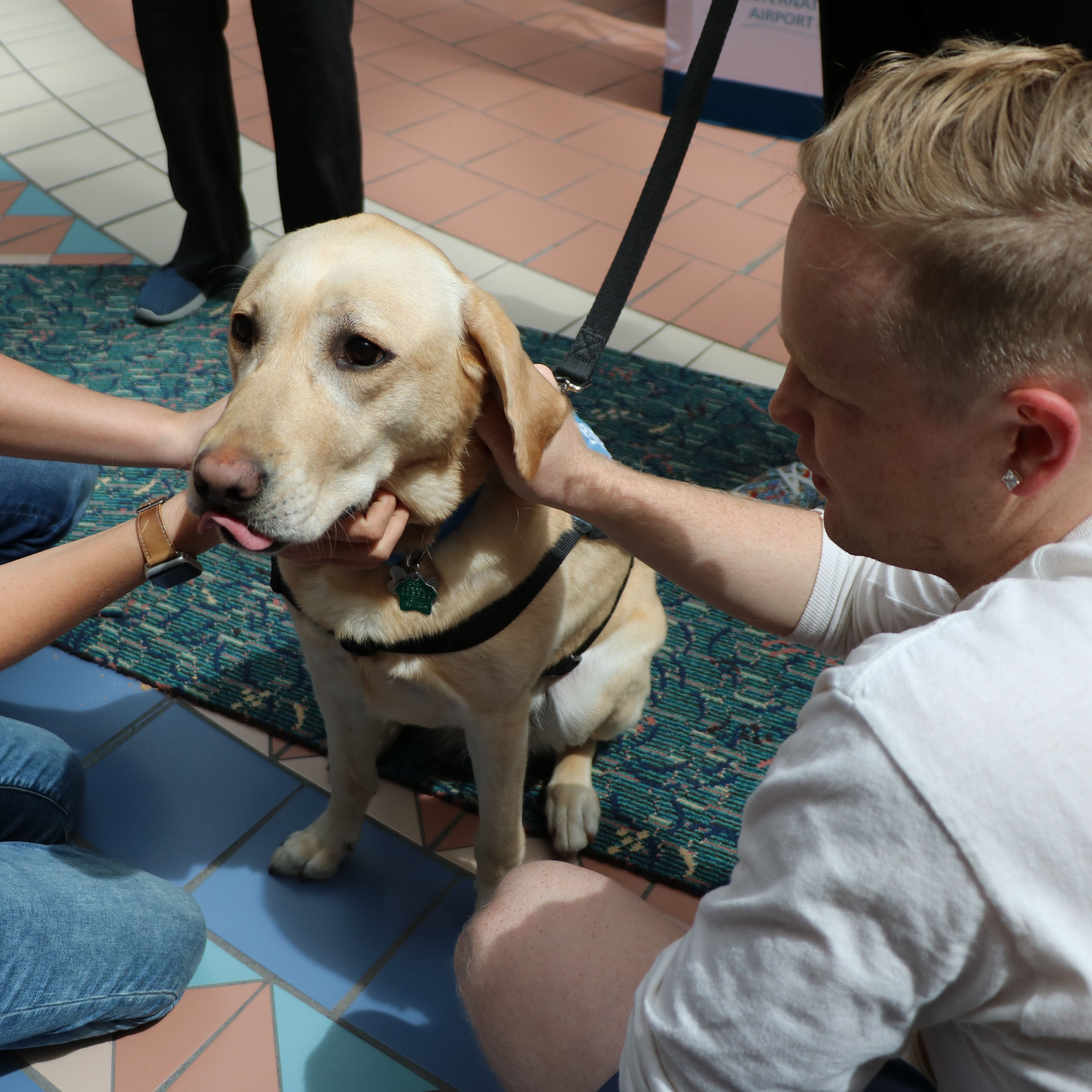 MCO Paw Pilot being petted photo.