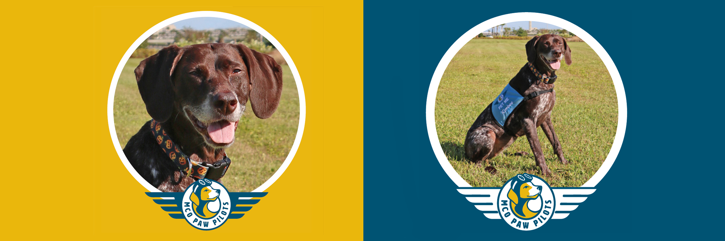 Paw-Pilots-KIMBEE-two-photos-side-by-side