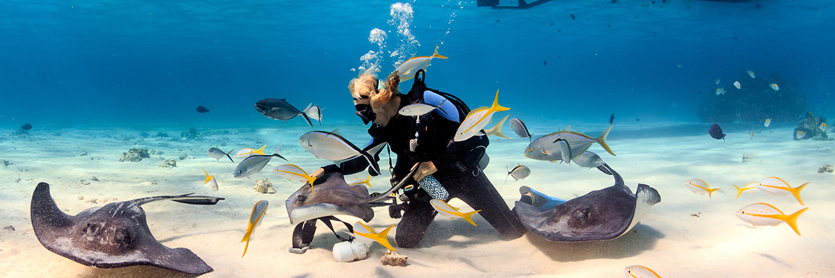 Grand Cayman (GCM)