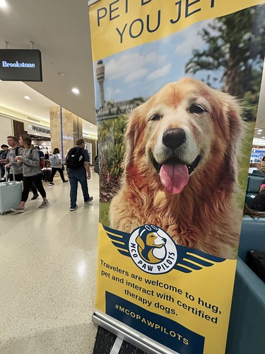MCO Paw Pilots 2024 dog VICTOR poster.

