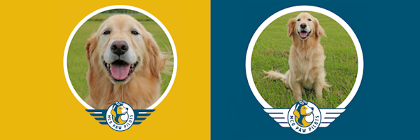 MCO Paw Pilots retired dog ANNIE.