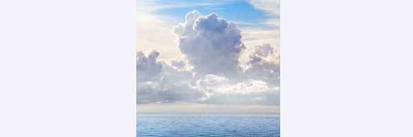 CLOUD ATLAS
Location: Lake Apopka