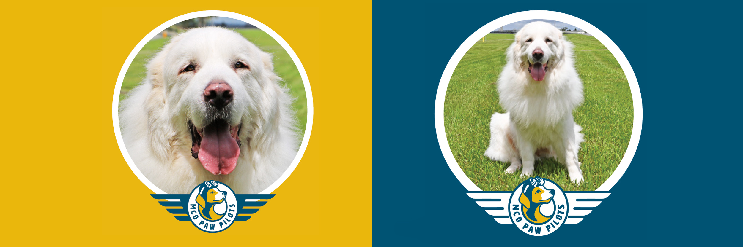 Paw Pilots DUKE