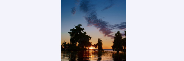 SUNRISE
Location: Blue Cypress Lake
Species: Ospreys