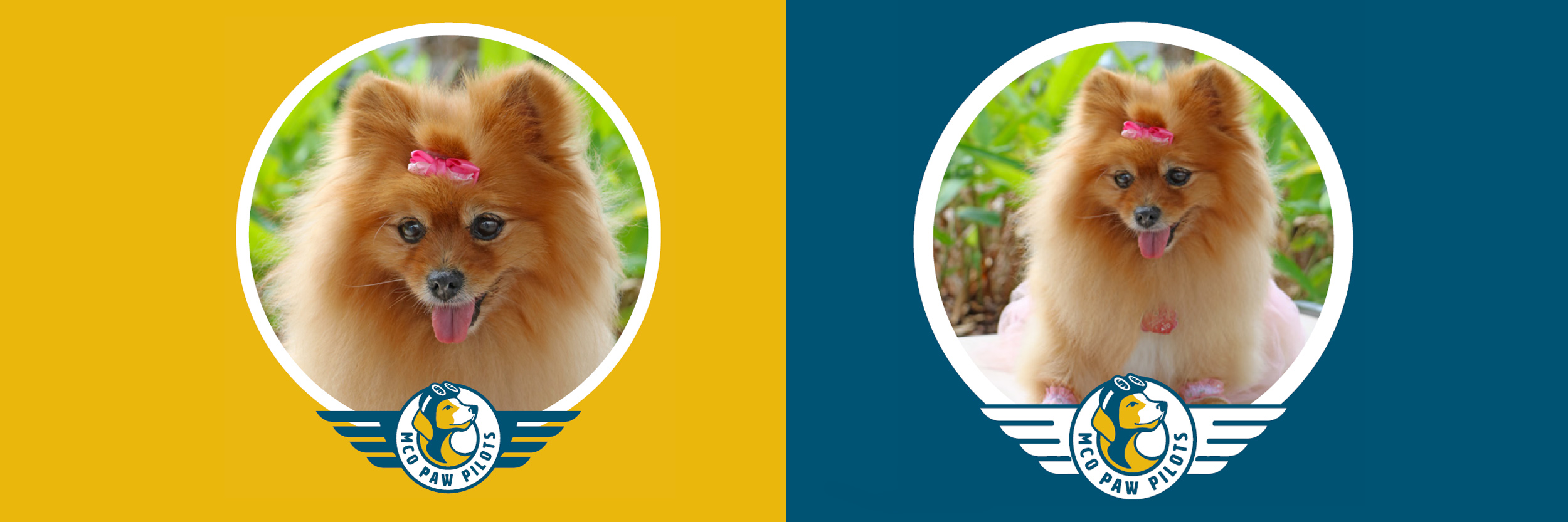 Paw Pilots DAISY-MA