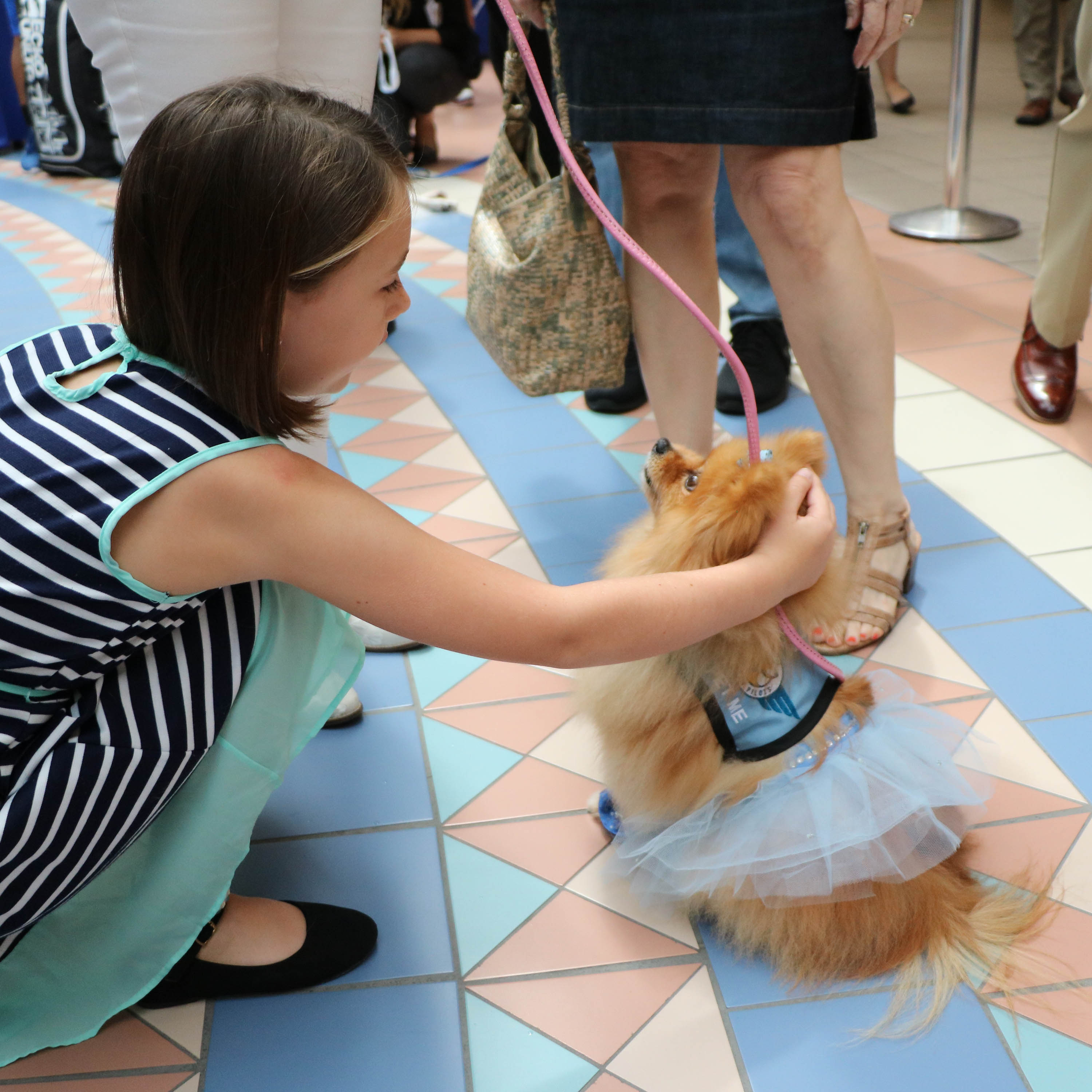 Girl petting paw pilot dog.