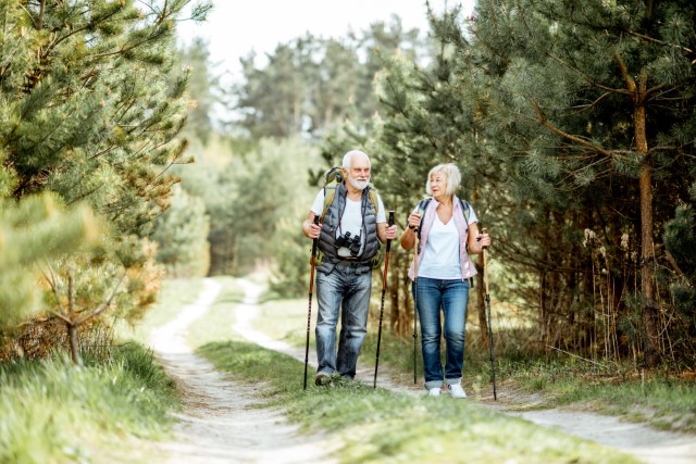 Senior couple hiking in a forest.