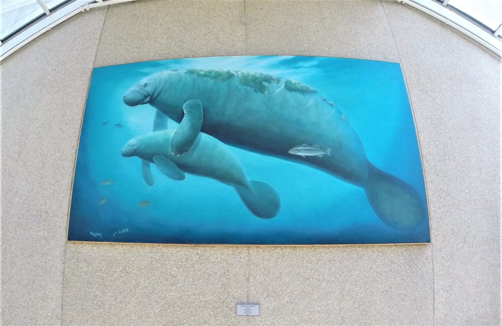 Artist: Robert Wyland (b. 1956)
Details: 1986, 8 by 14 feet, Oil on canvas
Collection: GOAA Art Collection
Location: Terminals A & B, Level 3, Security Checkpoint for Gates 1-59