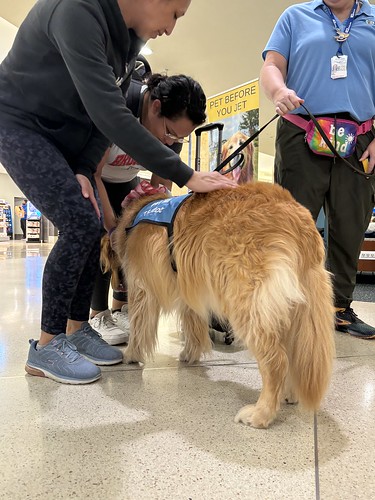 MCO Paw Pilots 2024 dog VICTOR being petted by people inside MCO terminal.