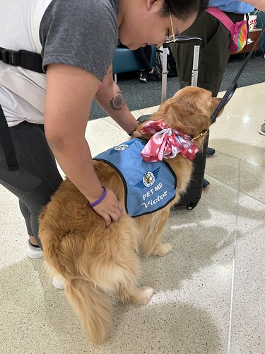 MCO Paw Pilots 2024 dog VICTOR being petted by a person inside MCO terminal.
