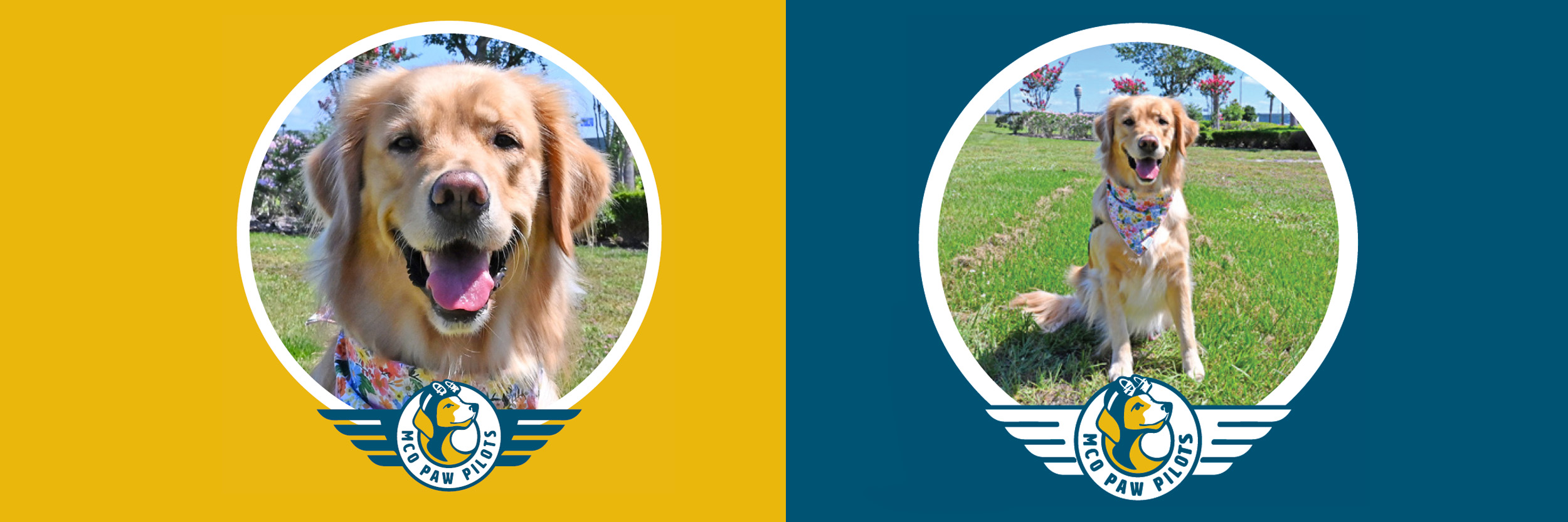 MCO Paw Pilots active dog DAISY.