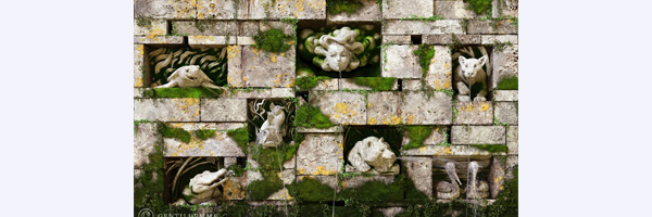 WATER WALL