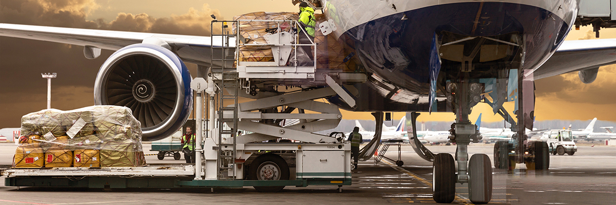 Loading cargo onto an aircraft.