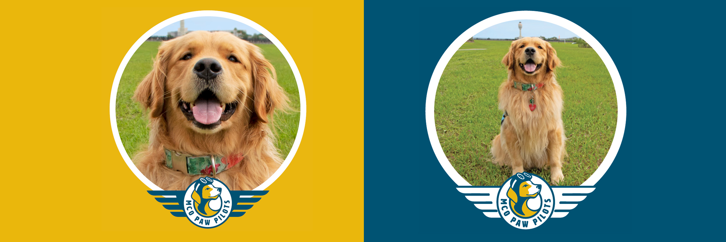 MCO Paw Pilots active dog VICTOR.