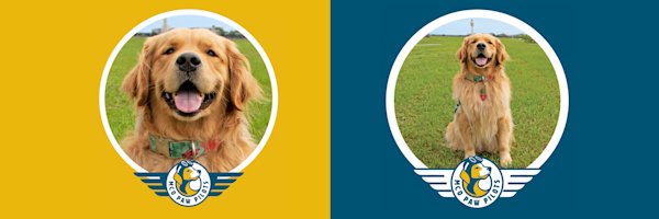MCO Paw Pilots active dog VICTOR.