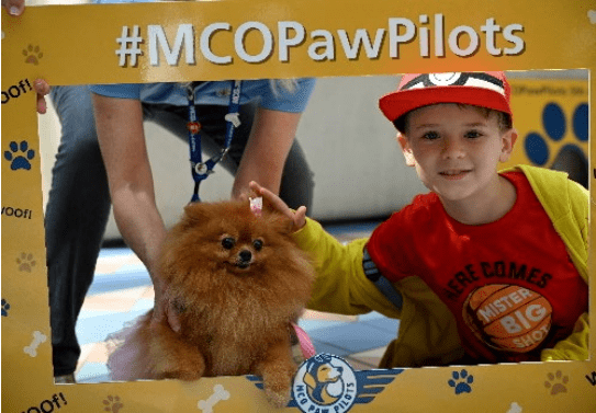 Dog-photo-paw-pilots-2-2024-09-30