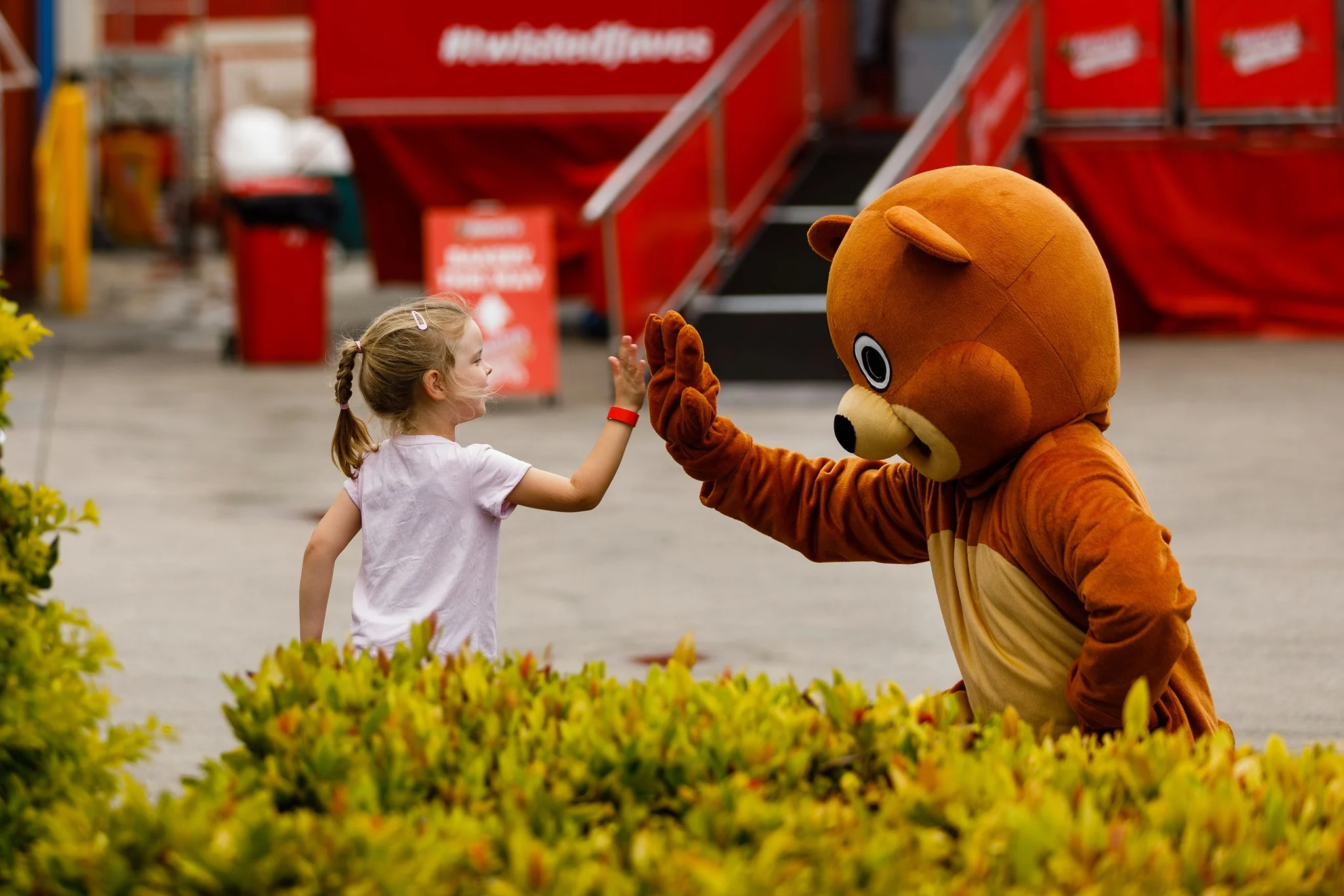 Hero Image Recipe Article - The Arnott’s Group Foundation