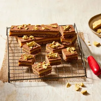 farmbake-chocolate-chip-hokey-pokey-caramel-slice