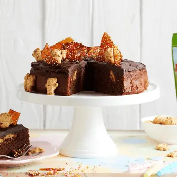 gluten free tiny teddy chocolate birthday cake 1 (2)