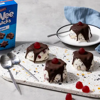 Mini TeeVee Snacks Ice Cream Cakes