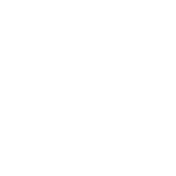 Video module Icon