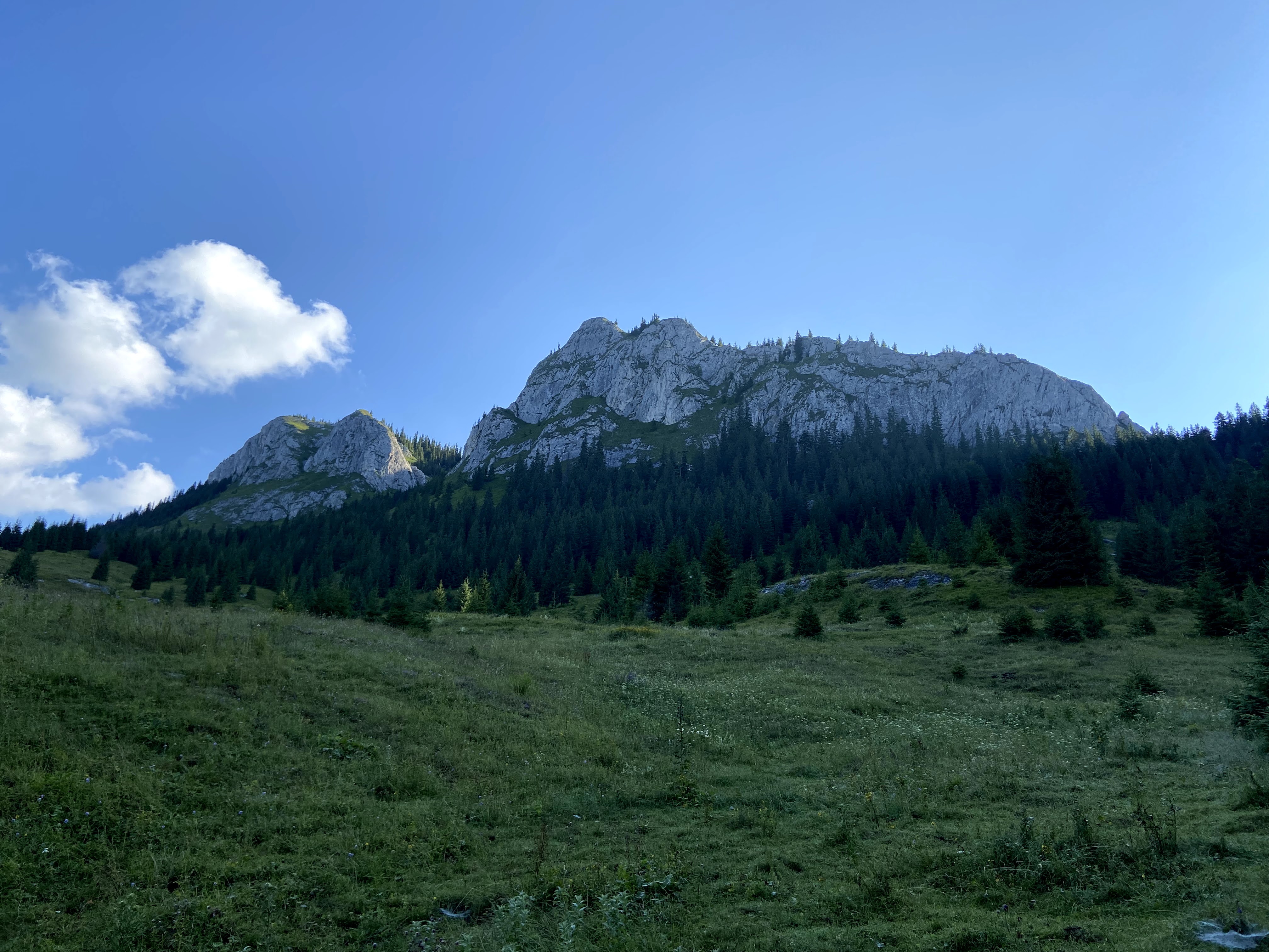 Apuseni - Photo 2