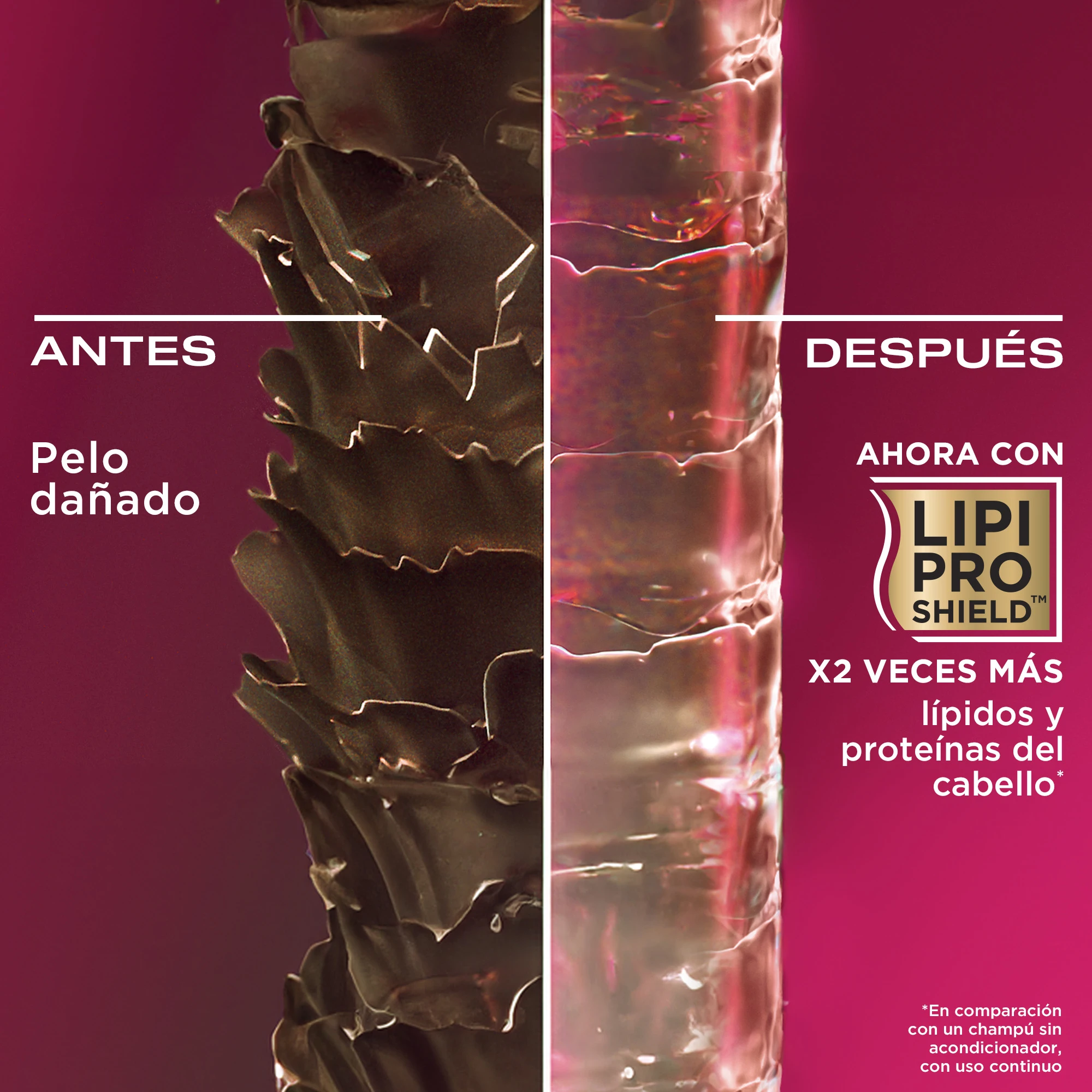 beneficios producto OGX