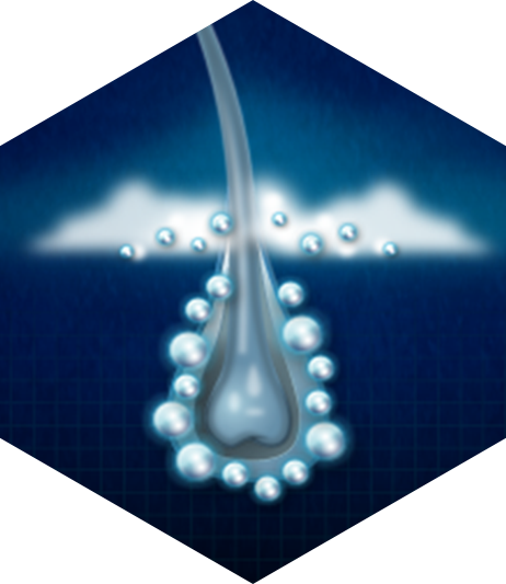 ¿Cómo funciona REGAINE<sup>®</sup>?