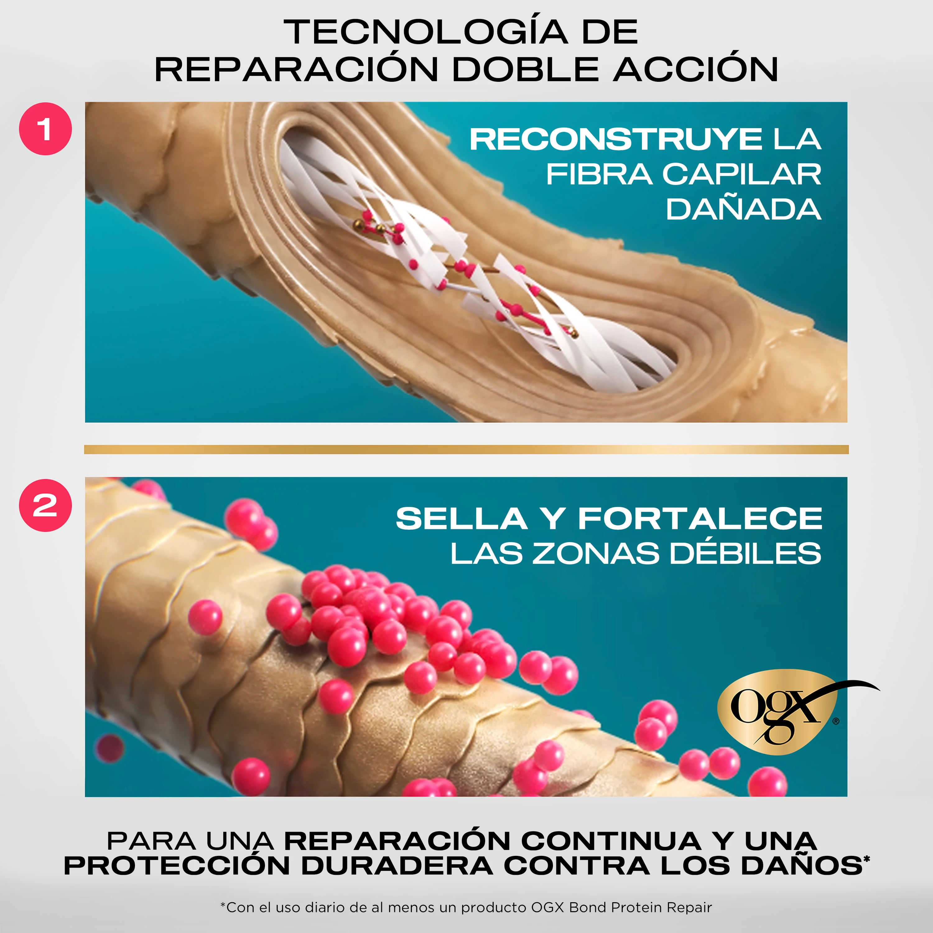 beneficios producto OGX