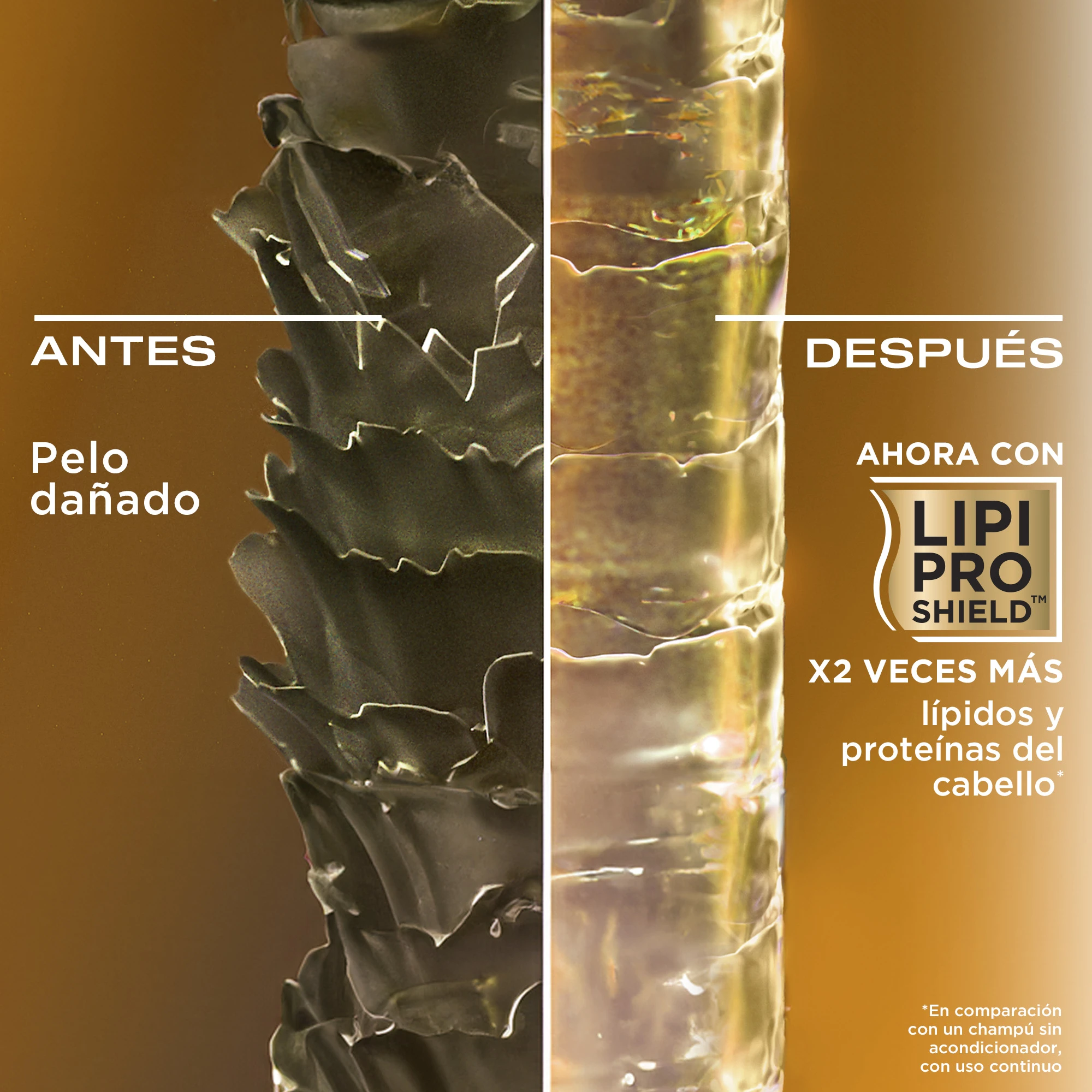 beneficios producto OGX