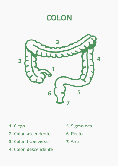 ¿Qué es el estreñimiento? - Image 1 - #ERROR! - es-ES