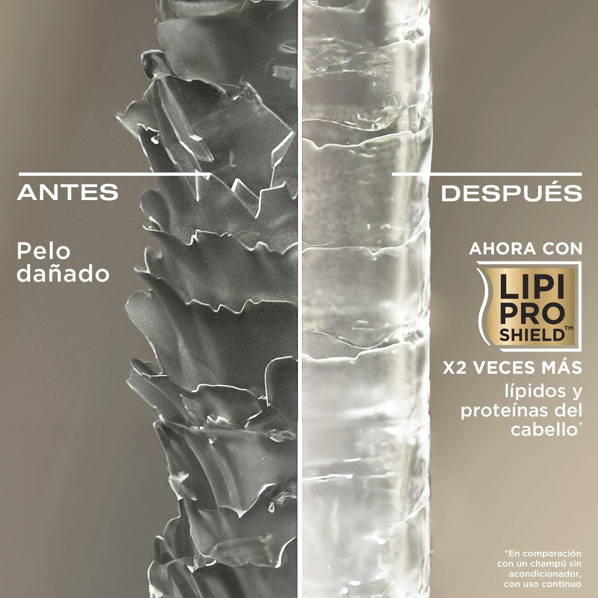 beneficios producto OGX