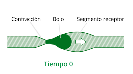 ¿Qué son los supositorios de glicerina? - Image 1 - #ERROR! - es-ES