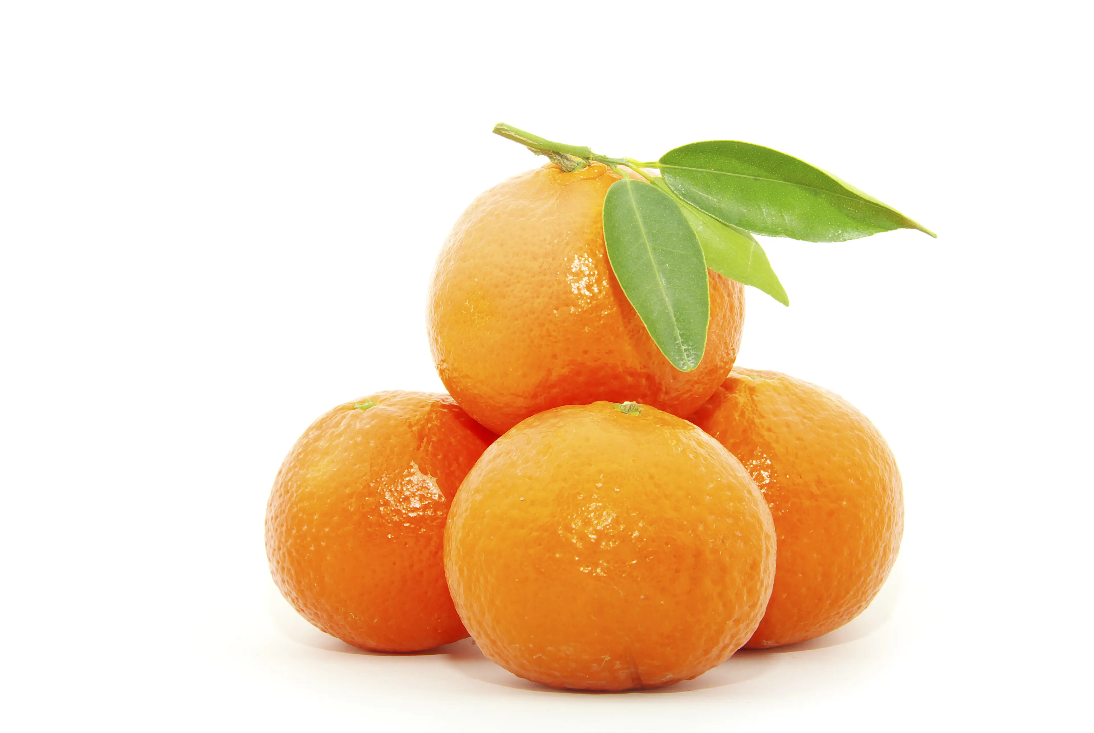 ALIMENTACIÓN DEL LACTANTE - Image 1 - supositoriosrovi.es - es-ES