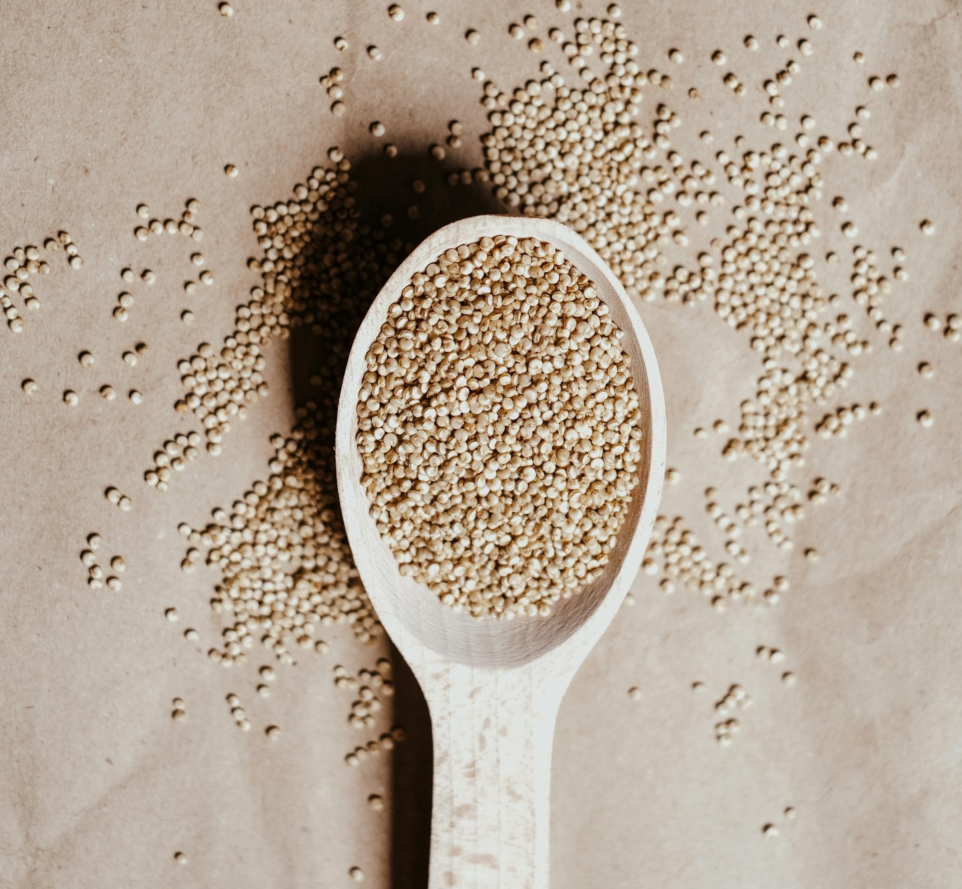 Can Dogs Have Quinoa?