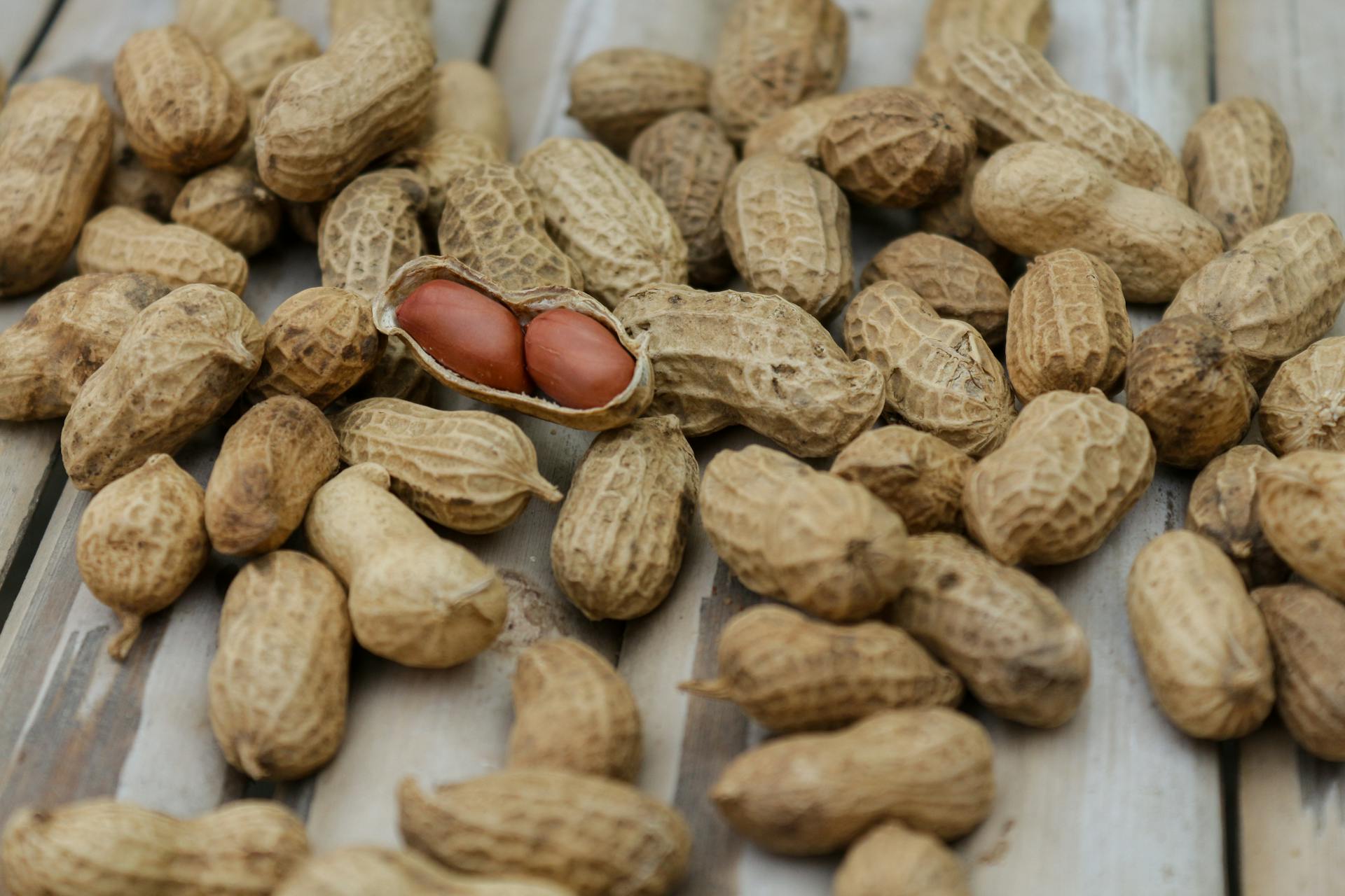 Can Cats Have Peanuts?