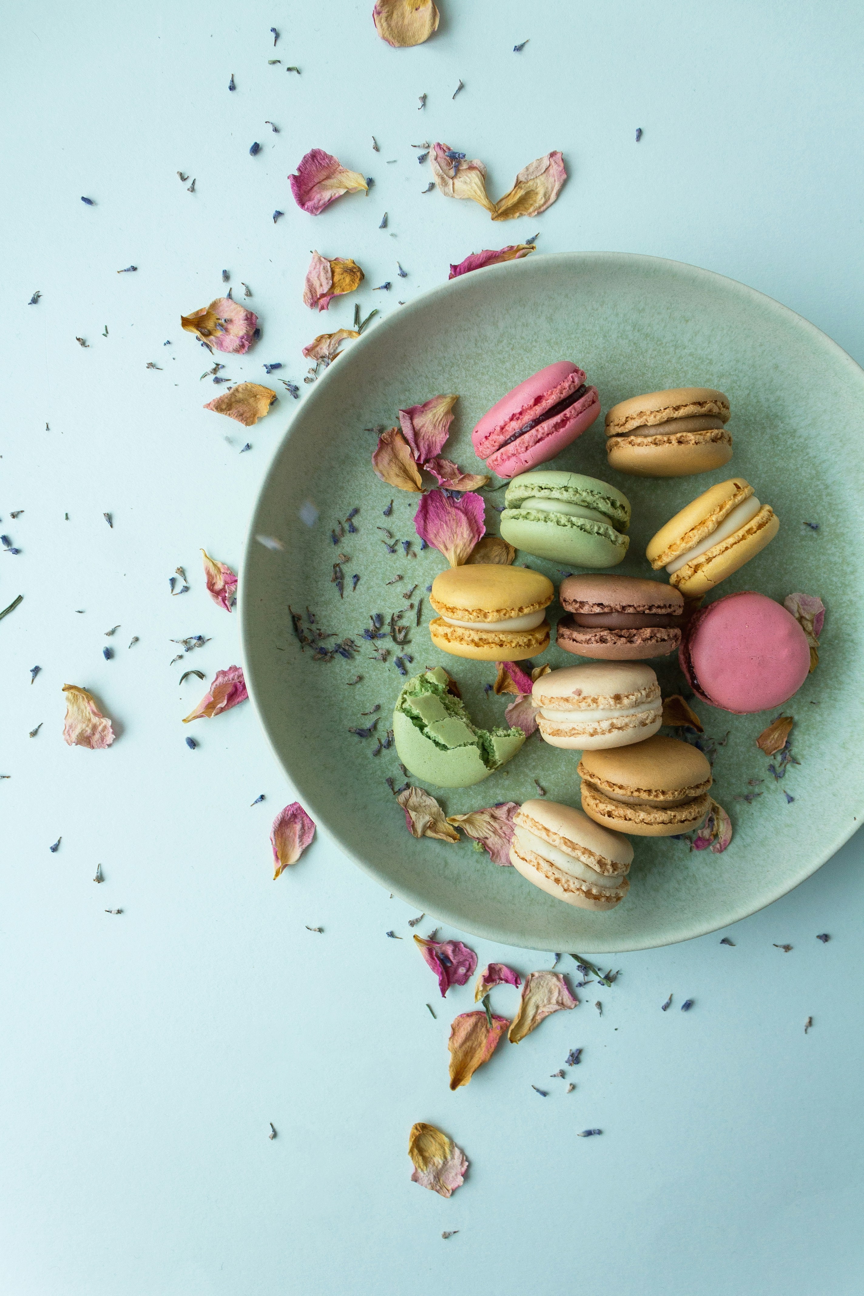 a plate of different coloured macarons