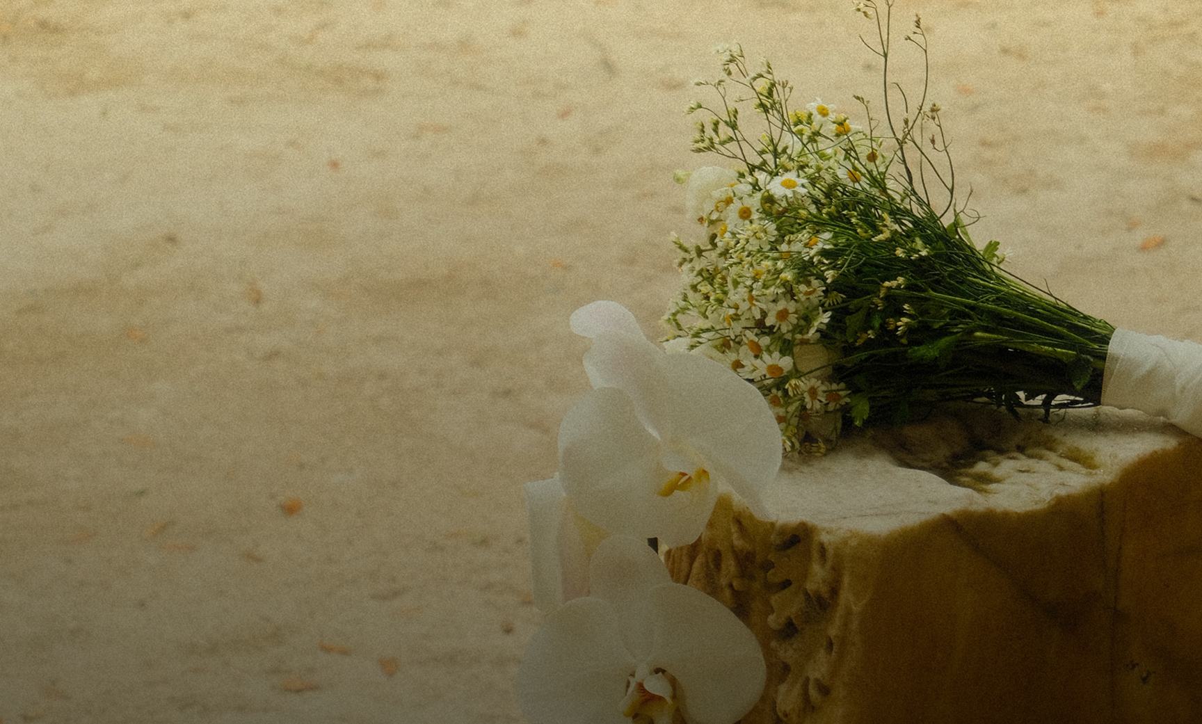 17 Sustainable Wedding Décor ideas that look chic, not cheap for 2025