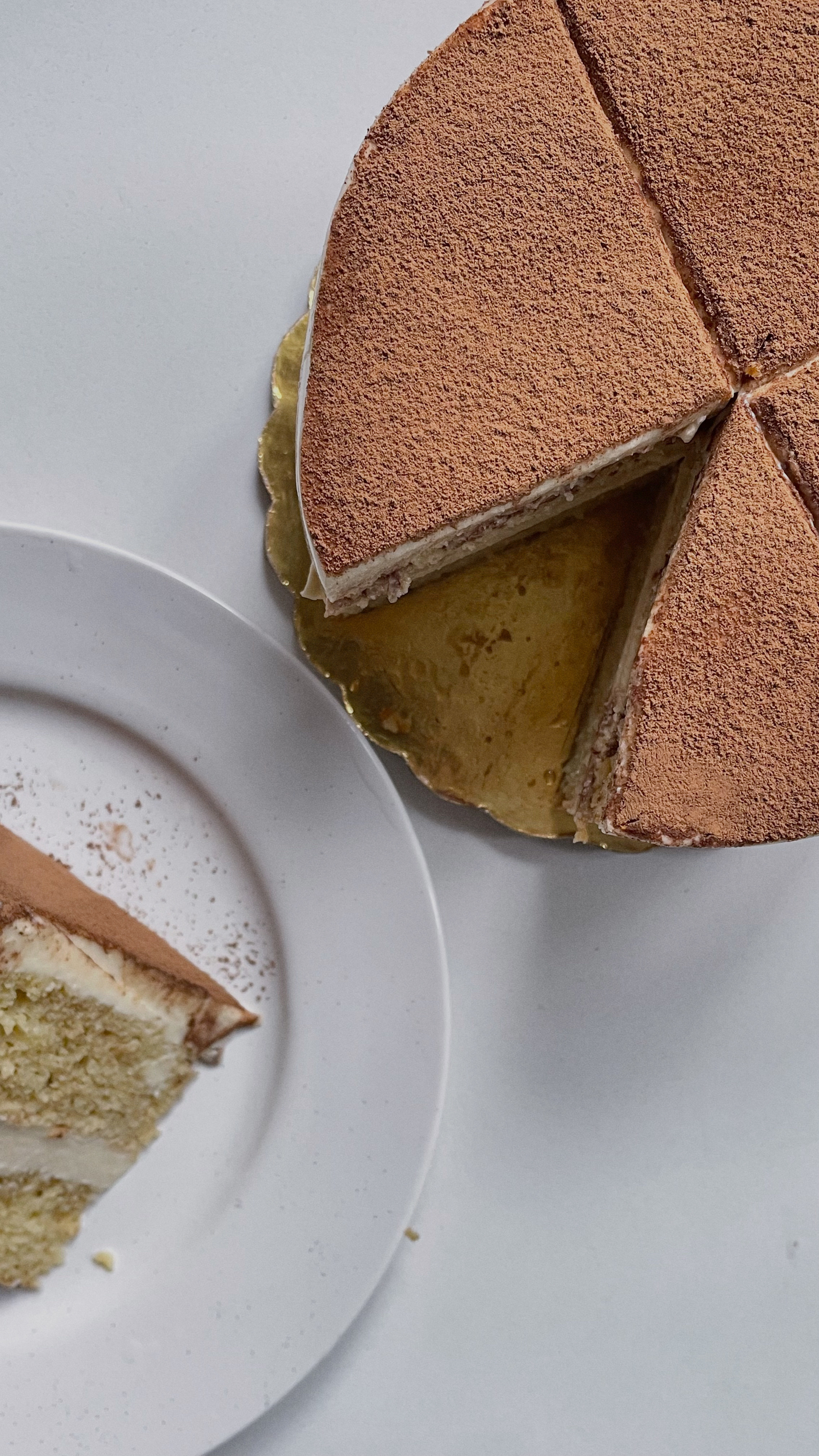 a giant tiramisu cake