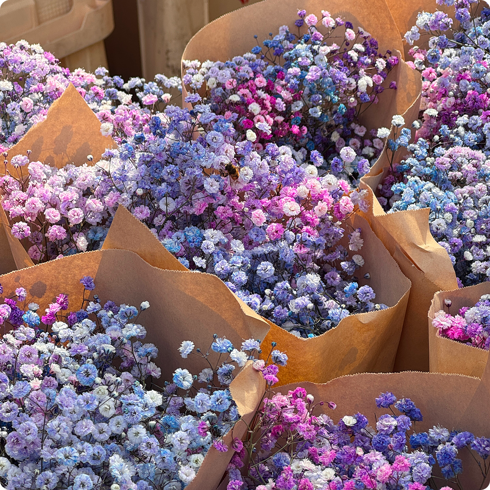 bunches of small blue, pink, and purple flowers
