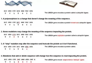 DNA Sequencing explained diagram