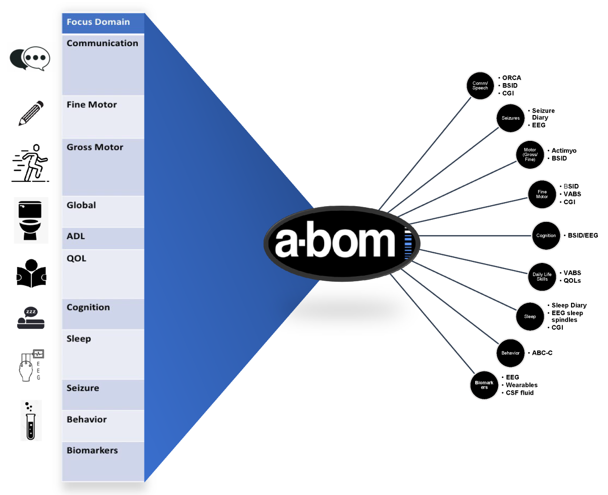 Power point slide of ABOM's focus domains and outcomes