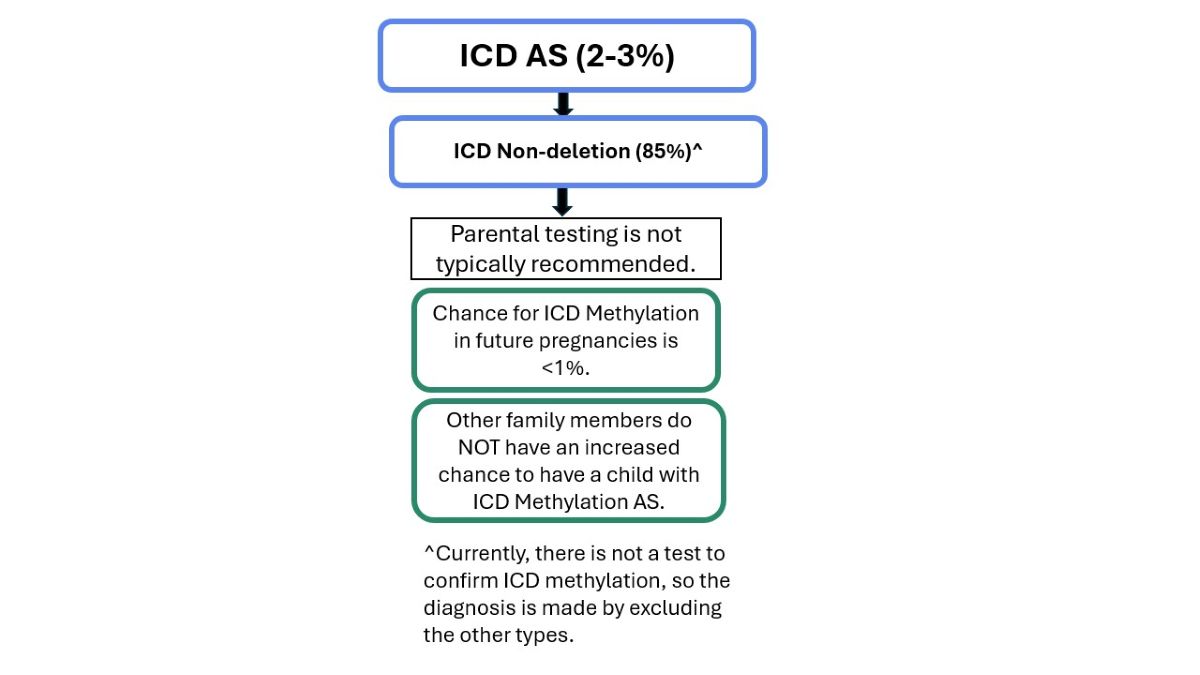 ICD Non-Deletion Angelman Syndrome Algorithm